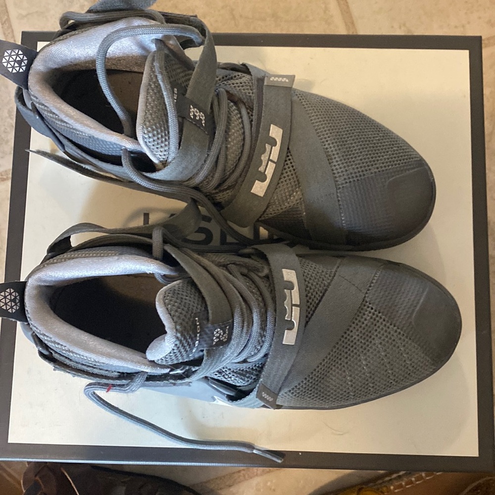 Nike Lebron James shoes